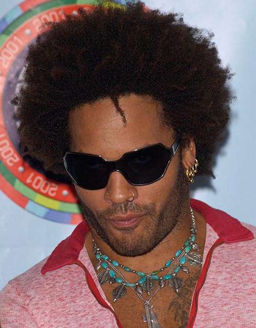 Lenny Kravitz afro