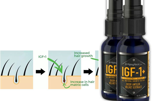 Increase scalp IGF-1